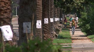 10. Бетховен (1992)