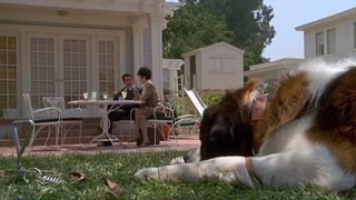 20. Бетховен (1992)