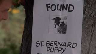 22. Бетховен (1992)