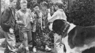 3. Бетховен (1992)