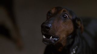 36. Бетховен (1992)