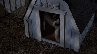 38. Бетховен (1992)