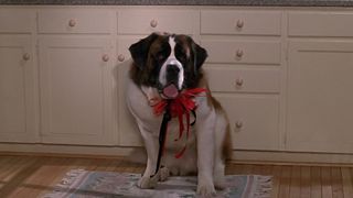 8. Бетховен (1992)