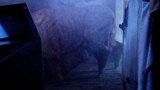 34. Смертельная ярость (1988)