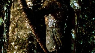 62. Хищник (1987)