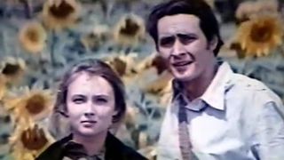 44. Мосты (1973)