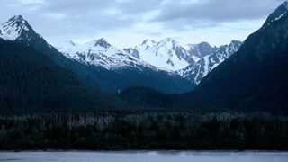 14. Белый клык (1991)