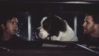 2. Красивые девушки (1996)