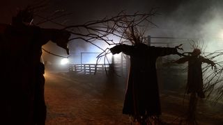 39. 31: Праздник смерти (2016)