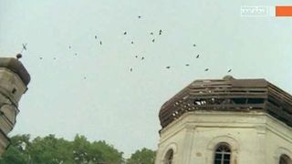 22. Мама, я жив (1976)