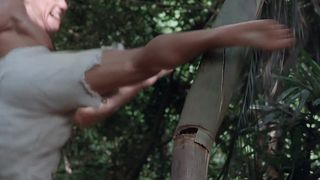 65. Кикбоксер (1989)