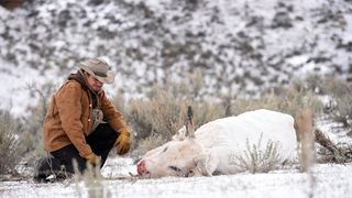 101. Ветреная река (2017)