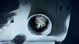 30. Секретный эксперимент (2012)