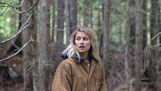 4. Впадина в земле (2017)