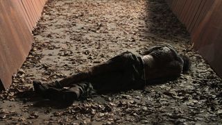 5. Философы: Урок выживания (2013)