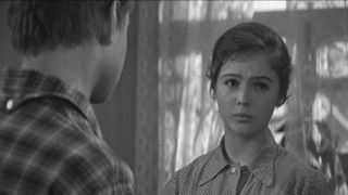 17. Ижорский батальон (1972)