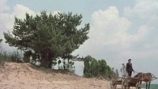 27. Иди и смотри (1985)