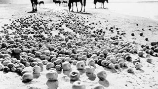 29. Иваново детство (1962)