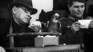 77. Иванна (1959)