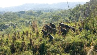 10. Че: Часть первая. Аргентинец (2008)