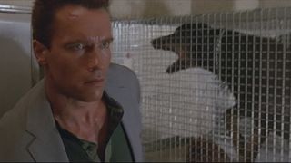 18. Коммандос (1985)