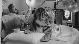 10. Доктор Дулиттл (1998)