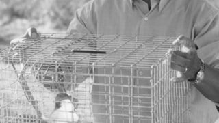 13. Доктор Дулиттл (1998)