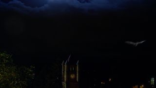 43. Волшебники (2015)