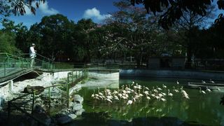 32. Гавана, я люблю тебя (2012)