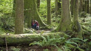 64. Твин Пикс (2017)