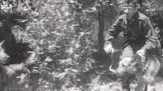 6. Жди меня (1943)