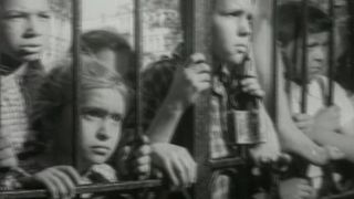 17. Жажда (1959)