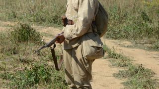 14. Дорога на Берлин (2015)