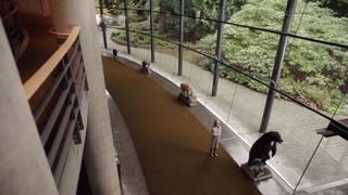 127. Легион (2017 — 2019)