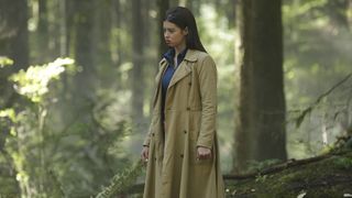 33. Легион (2017 — 2019)