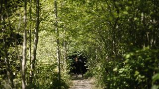 77. Легион (2017 — 2019)