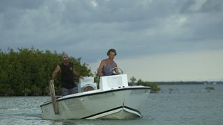 8. Родословная (2015 — 2017)