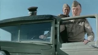 26. Горький можжевельник (1985)