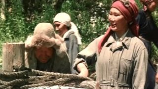 46. Горький можжевельник (1985)