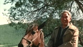 49. Горький можжевельник (1985)