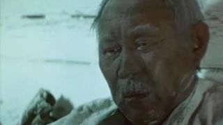 65. Горький можжевельник (1985)