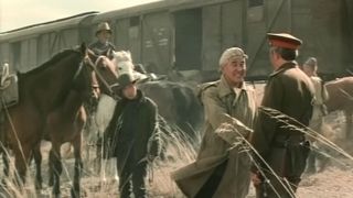 69. Горький можжевельник (1985)