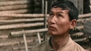 70. Горький можжевельник (1985)