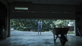 14. Озарк (2017 — ... )