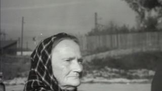 17. Вызываем огонь на себя (1963)