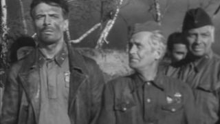 36. Вызываем огонь на себя (1963)