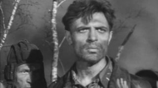 38. Вызываем огонь на себя (1963)