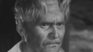 40. Вызываем огонь на себя (1963)