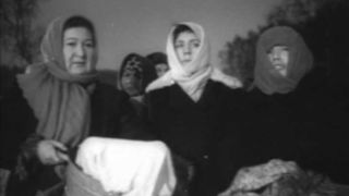 93. Вызываем огонь на себя (1963)