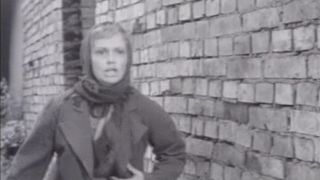 99. Вызываем огонь на себя (1963)